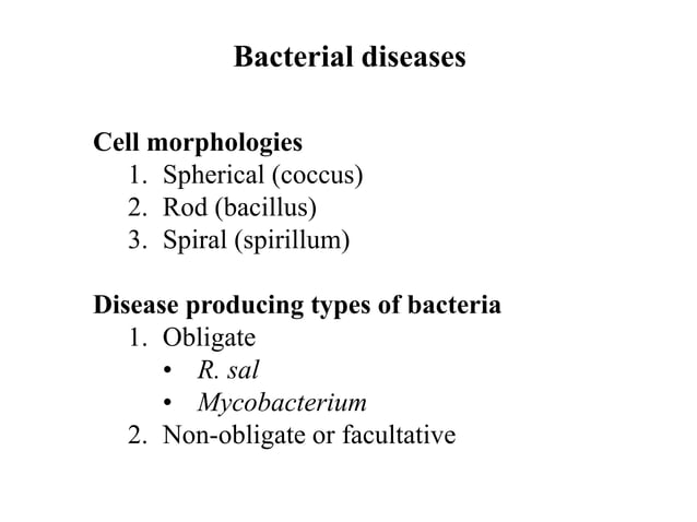 Lecture 14 Warmwater Bacterial disease.ppt | Fish and Aquariums | Pets - Bacterial Diseases Aquarium Managing Water Quality