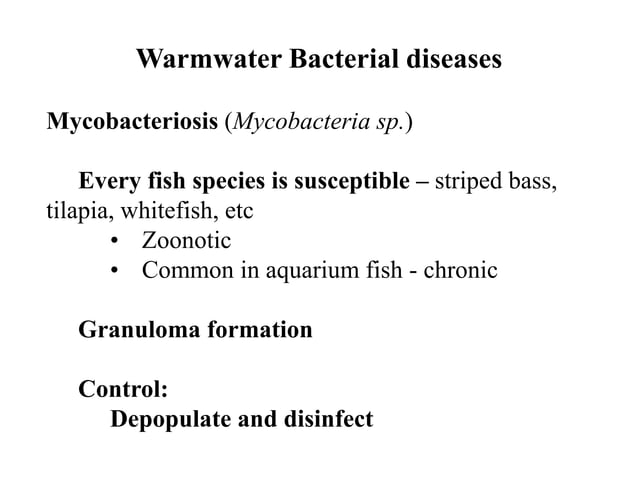 Lecture 14 Warmwater Bacterial disease.ppt | Fish and Aquariums | Pets