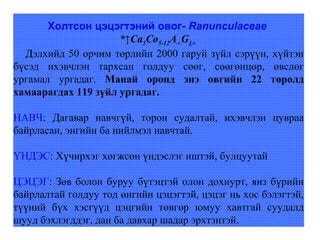 Lecture15 | PPT