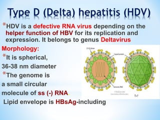 Hepatitis virus and HIV | PPT