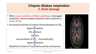 Respiratory patterns and its abnormality
