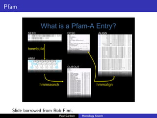 BIOL335: Homology search | PPT