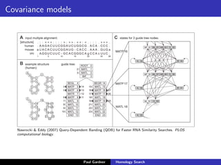But, what about RNA?
5’
3’
0
Sequence conservation
1
A
G
U
K G
C
U
C
A
U
U
CA
C
C
K
W
Y U
U
A
U
G
W
YR
G
YCC
C
g
C
Y
V
U
U
H R G C G
G
A
A
K
A
Y
G
YG
C
U
W
C
A
U
A
A R
M
Y
A
Y
C
G
A
A
U
G
AY
G
C M
H
A
A
G
M
M
WG
G
U
G
C
C
U R
Y
C
G
U
C
C A M
C
U
W
A
a
C
Y
G
A
U
A
W Y
R
K
G
U
G
MRU
R
C
R
C
W
U
U
A
U
C
AA
V
C
A
Y
C
G
G
R
C
GA
M
A
C
G
UY
G
A G
U
K
A
G
G
C
A
C
CGC
C
U
W
5’
3’
0
Sequence conservation
1
A
A
Y
A
A
A
A
U
A
A
U
U
U
A
C
AUUCCA AG
G
A
C
C
G
G
UA
U
U
A
U
U
GU A
G
G
G
G
A
U
U
U
GU
G
AC
U
U
Y C
A
A
G
G
C
A
A
Y
G
U
C
C
U
C
U
C
U
A
C
AA
C
C
G
A
G
U
U
C R
A
G
A
A
U
A
A
R
Y
A
C
M
A
A
YG
G
C
U
C U
U
U
U
U
G
UU
A
U
U
C
G
A
A
A
G C
U
U
A
C
A
A
G
DU
V
Y
R
G
Y
R
U
M
U
U
C
U
R
U
A
U
R
C
U
C
W
C
Y
Uc
a
M
U
Y
A C
U
U
U
C
M
A
G
U
AC
U
U
C
A
C
A
C G
G
G
C
CWRACAK
M
U
5’ 3’
0
Sequence conservation
1
U
V
D
WHAUGA
U
G
A
G
Y
U
C
M
A
C
U
U
C
W
U
u
G
G
U
C
C
G
U
G U U U C U G A g a R
M
C
Y
M
R
U
G
A
U
M
U
B
W
R
U
G
a
S
A
A
a
G
U
UCUGAY
U
H
M
Paul Gardner Homology Search
 
