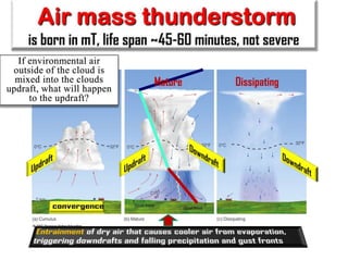 Cumulus

Mature

12

Dissipating

 