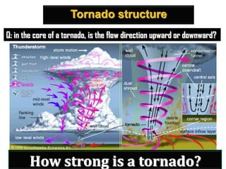 Tornado structure
Q: in the core of a tornado, is the flow direction upward or downward?

How strong is a tornado?

 