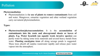 Pollution
Environment & Ecology by Dr. Shivin Chaudhary Click Here to Learn More
Phytoremediation
● Phytoremediation is the use of plants to remove contaminants from soil
and water. Mangroves, estuarine vegetation and other wetland vegetation
carry out natural phytoremediation.
Types:
● Phytoextraction/phytoaccumulation: It is the accumulation of
contaminants into the roots and aboveground shoots or leaves of
plants. E.g. Water hyacinth (an aquatic weed, invasive species) can
purify water by taking some toxic materials and several heavy metals from
water. Planting eucalyptus trees all along sewage ponds is suggested.
These trees absorb all surplus wastewater rapidly and release pure water
vapour into the atmosphere.
 