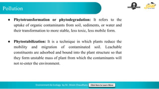 Pollution
Environment & Ecology by Dr. Shivin Chaudhary Click Here to Learn More
● Phytotransformation or phytodegradation: It refers to the
uptake of organic contaminants from soil, sediments, or water and
their transformation to more stable, less toxic, less mobile form.
● Phytostabilization: It is a technique in which plants reduce the
mobility and migration of contaminated soil. Leachable
constituents are adsorbed and bound into the plant structure so that
they form unstable mass of plant from which the contaminants will
not re-enter the environment.
 