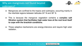 Why are mangroves not found beyond
subtropics?
Environment & Ecology by Dr. Shivin Chaudhary Click Here to Learn More
● Mangroves are confined to the tropics and subtropics, occurring mainly in
the intertidal regions between latitudes 24° N and 38° S.
● This is because the mangrove vegetation contains a complex salt
filtration system that facilitates high water loss at the root level itself
to cope with the brackish conditions.
● These adaptive mechanisms are energy-intensive and require high solar
radiation.
 
