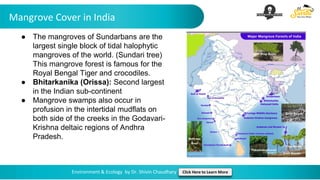 Mangrove Cover in India
Environment & Ecology by Dr. Shivin Chaudhary Click Here to Learn More
● The mangroves of Sundarbans are the
largest single block of tidal halophytic
mangroves of the world. (Sundari tree)
This mangrove forest is famous for the
Royal Bengal Tiger and crocodiles.
● Bhitarkanika (Orissa): Second largest
in the Indian sub-continent
● Mangrove swamps also occur in
profusion in the intertidal mudflats on
both side of the creeks in the Godavari-
Krishna deltaic regions of Andhra
Pradesh.
 