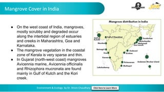 Mangrove Cover in India
Environment & Ecology by Dr. Shivin Chaudhary Click Here to Learn More
● On the west coast of India, mangroves,
mostly scrubby and degraded occur
along the intertidal region of estuaries
and creeks in Maharashtra, Goa and
Karnataka.
● The mangrove vegetation in the coastal
zone of Kerala is very sparse and thin.
● In Gujarat (north-west coast) mangroves
Avicennia marine, Avicennia officinalis
and Rhizophora mucronata are found
mainly in Gulf of Kutch and the Kori
creek.
 
