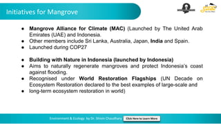 Initiatives for Mangrove
Environment & Ecology by Dr. Shivin Chaudhary Click Here to Learn More
● Mangrove Alliance for Climate (MAC) (Launched by The United Arab
Emirates (UAE) and Indonesia.
● Other members include Sri Lanka, Australia, Japan, India and Spain.
● Launched during COP27
● Building with Nature in Indonesia (launched by Indonesia)
● Aims to naturally regenerate mangroves and protect Indonesia’s coast
against flooding.
● Recognised under World Restoration Flagships (UN Decade on
Ecosystem Restoration declared to the best examples of large-scale and
● long-term ecosystem restoration in world)
 
