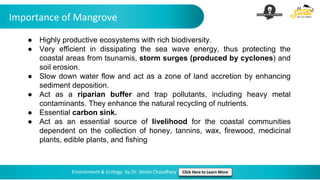 Importance of Mangrove
Environment & Ecology by Dr. Shivin Chaudhary Click Here to Learn More
● Highly productive ecosystems with rich biodiversity.
● Very efficient in dissipating the sea wave energy, thus protecting the
coastal areas from tsunamis, storm surges (produced by cyclones) and
soil erosion.
● Slow down water flow and act as a zone of land accretion by enhancing
sediment deposition.
● Act as a riparian buffer and trap pollutants, including heavy metal
contaminants. They enhance the natural recycling of nutrients.
● Essential carbon sink.
● Act as an essential source of livelihood for the coastal communities
dependent on the collection of honey, tannins, wax, firewood, medicinal
plants, edible plants, and fishing
 