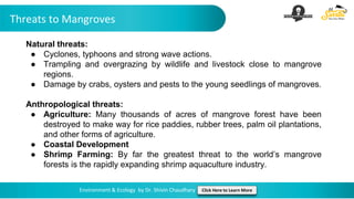 Threats to Mangroves
Environment & Ecology by Dr. Shivin Chaudhary Click Here to Learn More
Natural threats:
● Cyclones, typhoons and strong wave actions.
● Trampling and overgrazing by wildlife and livestock close to mangrove
regions.
● Damage by crabs, oysters and pests to the young seedlings of mangroves.
Anthropological threats:
● Agriculture: Many thousands of acres of mangrove forest have been
destroyed to make way for rice paddies, rubber trees, palm oil plantations,
and other forms of agriculture.
● Coastal Development
● Shrimp Farming: By far the greatest threat to the world’s mangrove
forests is the rapidly expanding shrimp aquaculture industry.
 