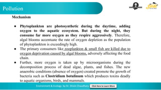 Pollution
Environment & Ecology by Dr. Shivin Chaudhary Click Here to Learn More
Mechanism
● Phytoplankton are photosynthetic during the daytime, adding
oxygen to the aquatic ecosystem. But during the night, they
consume far more oxygen as they respire aggressively. Therefore,
algal blooms accentuate the rate of oxygen depletion as the population
of phytoplankton is exceedingly high.
● The primary consumers like zooplankton & small fish are killed due to
oxygen deprivation caused by algal blooms, adversely affecting the food
chain.
● Further, more oxygen is taken up by microorganisms during the
decomposition process of dead algae, plants, and fishes. The new
anaerobic conditions (absence of oxygen) created promote the growth of
bacteria such as Clostridium botulinum which produces toxins deadly
to aquatic organisms, birds, and mammals.
 