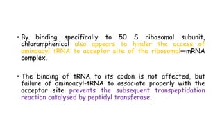 • By binding specifically to 50 S ribosomal subunit,
chloramphenicol also appears to hinder the access of
aminoacyl tRNA to acceptor site of the ribosomal—mRNA
complex.
• The binding of tRNA to its codon is not affected, but
failure of aminoacyl-tRNA to associate properly with the
acceptor site prevents the subsequent transpeptidation
reaction catalysed by peptidyl transferase.
 