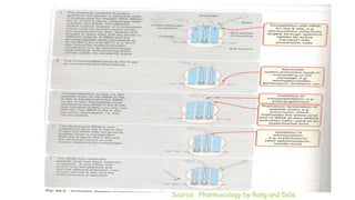Source :Pharmacology by Rang and Dale
 