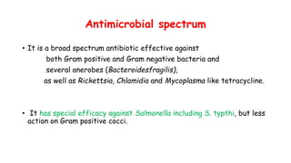 Antimicrobial spectrum
• It is a broad spectrum antibiotic effective against
both Gram positive and Gram negative bacteria and
several anerobes (Bacteroidesfragilis),
as well as Rickettsia, Chlamidia and Mycoplasma like tetracycline.
• It has special efficacy against Salmonella including S. typthi, but less
action on Gram positive cocci.
 