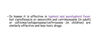 • In human it is effective in typhoid and paratyphoid fever
but ciprofloxacin or amoxicillin and cotrimoxazole (in adult)
or cefixime/cefoperazone/ceftriaxone (in children) are
similarly effective and less toxic drugs.
 