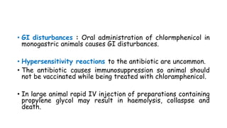 • GI disturbances : Oral administration of chlormphenicol in
monogastric animals causes GI disturbances.
• Hypersensitivity reactions to the antibiotic are uncommon.
• The antibiotic causes immunosuppression so animal should
not be vaccinated while being treated with chloramphenicol.
• In large animal rapid IV injection of preparations containing
propylene glycol may result in haemolysis, collaspse and
death.
 