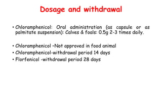 Dosage and withdrawal
• Chloramphenicol: Oral administration (as capsule or as
palmitate suspension): Calves & foals: 0.5g 2-3 times daily.
• Chloramphenicol –Not approved in food animal
• Chloramphenicol-withdrawal period 14 days
• Florfenicol -withdrawal period 28 days
 