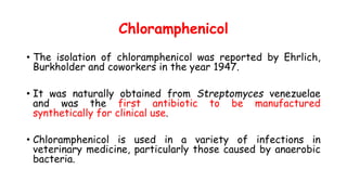 Chloramphenicol
• The isolation of chloramphenicol was reported by Ehrlich,
Burkholder and coworkers in the year 1947.
• It was naturally obtained from Streptomyces venezuelae
and was the first antibiotic to be manufactured
synthetically for clinical use.
• Chloramphenicol is used in a variety of infections in
veterinary medicine, particularly those caused by anaerobic
bacteria.
 
