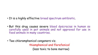 • It is a highly effective broad spectrum antibiotic.
• But this drug causes severe blood dyscracias in human so
carefully used in pet animals and not approved for use in
food animals in many countries.
• Two chloramphenicol congeners viz.
thiamphenicol and florefenicol
(less toxic to bone marrow)
 