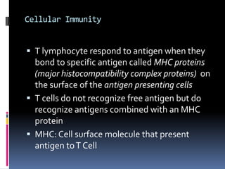 Cellular Immunity T lymphocyte respond to antigen when they bond to specific antigen called MHC proteins (major histocompatibility complex proteins)  on the surface of the antigen presenting cells T cells do not recognize free antigen but do recognize antigens combined with an MHC protein MHC: Cell surface molecule that present antigen to T Cell  