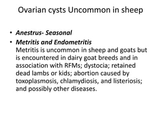 Ovarian cysts Uncommon in sheep
• Anestrus- Seasonal
• Metritis and Endometritis
Metritis is uncommon in sheep and goats but
is encountered in dairy goat breeds and in
association with RFMs; dystocia; retained
dead lambs or kids; abortion caused by
toxoplasmosis, chlamydiosis, and listeriosis;
and possibly other diseases.
 