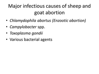 Major infectious causes of sheep and
goat abortion
• Chlamydophila abortus (Enzootic abortion)
• Campylobacter spp.
• Toxoplasma gondii
• Various bacterial agents
 