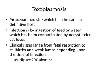 Toxoplasmosis
• Protozoan parasite which has the cat as a
definitive host
• Infection is by ingestion of feed or water
which has been contaminated by oocyst-laden
cat feces
• Clinical signs range from fetal resorption to
stillbirths and weak lambs depending upon
the time of infection
– usually see 20% abortion
 