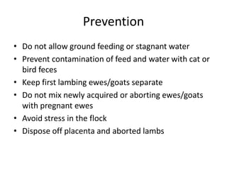 Prevention
• Do not allow ground feeding or stagnant water
• Prevent contamination of feed and water with cat or
bird feces
• Keep first lambing ewes/goats separate
• Do not mix newly acquired or aborting ewes/goats
with pregnant ewes
• Avoid stress in the flock
• Dispose off placenta and aborted lambs
 