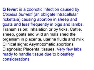 Q fever: is a zoonotic infection caused by
Coxiella burnetti (an obligate intracellular
rickettsia) causing abortion in sheep and
goats and less frequently in pigs and lambs.
Transmission: Inhalation or by ticks. Cattle,
sheep, goats and wild animals shed the
organism in placenta, uterine fluids and milk
Clinical signs: Asymptomatic abortions
Diagnosis: Placental tissues. Very few labs
ready to handle tissue due to biosafety
considerations
 
