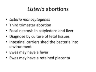 Listeria abortions
• Listeria monocytogenes
• Third trimester abortion
• Focal necrosis in cotyledons and liver
• Diagnose by culture of fetal tissues
• Intestinal carriers shed the bacteria into
environment
• Ewes may have a fever
• Ewes may have a retained placenta
 