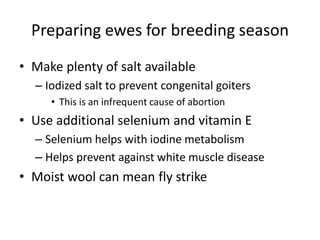 Preparing ewes for breeding season
• Make plenty of salt available
– Iodized salt to prevent congenital goiters
• This is an infrequent cause of abortion
• Use additional selenium and vitamin E
– Selenium helps with iodine metabolism
– Helps prevent against white muscle disease
• Moist wool can mean fly strike
 