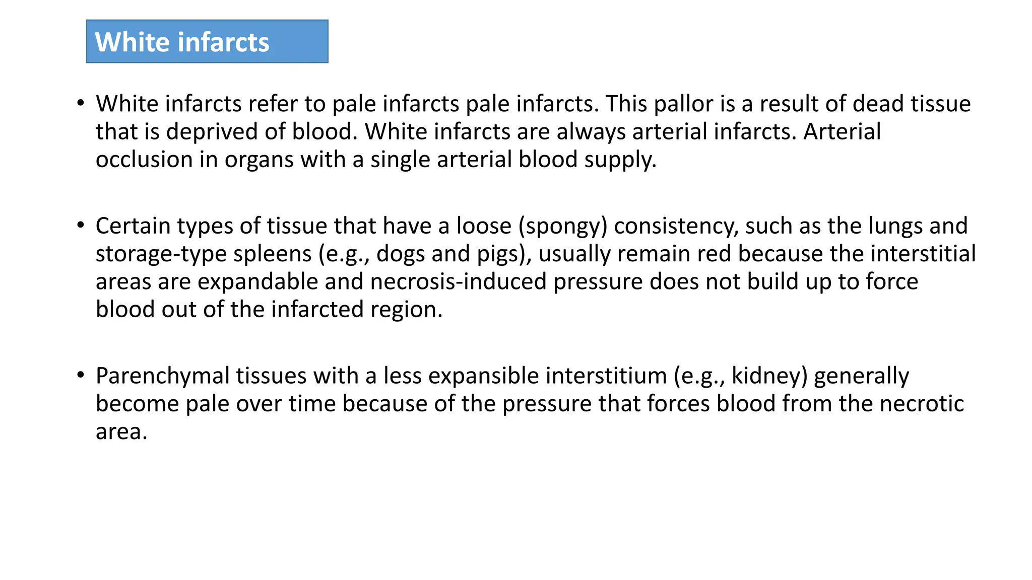 • White infarcts refer to pale infarcts pale infarcts. This pallor is a result of dead tissue
that is deprived of blood. White infarcts are always arterial infarcts. Arterial
occlusion in organs with a single arterial blood supply.
• Certain types of tissue that have a loose (spongy) consistency, such as the lungs and
storage-type spleens (e.g., dogs and pigs), usually remain red because the interstitial
areas are expandable and necrosis-induced pressure does not build up to force
blood out of the infarcted region.
• Parenchymal tissues with a less expansible interstitium (e.g., kidney) generally
become pale over time because of the pressure that forces blood from the necrotic
area.
White infarcts
 