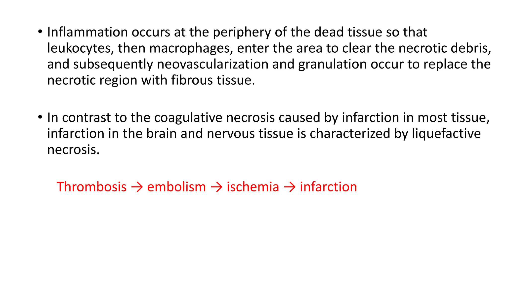 • Inflammation occurs at the periphery of the dead tissue so that
leukocytes, then macrophages, enter the area to clear the necrotic debris,
and subsequently neovascularization and granulation occur to replace the
necrotic region with fibrous tissue.
• In contrast to the coagulative necrosis caused by infarction in most tissue,
infarction in the brain and nervous tissue is characterized by liquefactive
necrosis.
Thrombosis → embolism → ischemia → infarction
 
