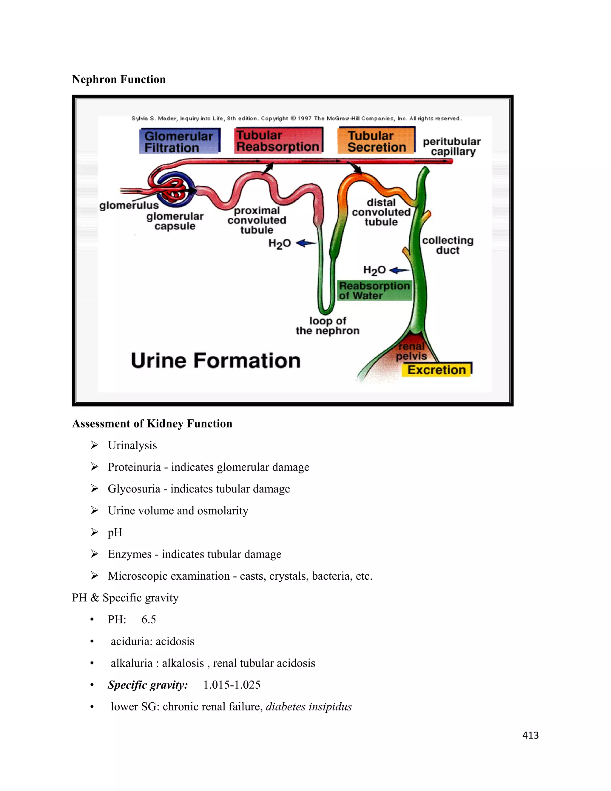 413 
 
Nephron Function
Assessment of Kidney Function
 Urinalysis
 Proteinuria - indicates glomerular damage
 Glycosuria - indicates tubular damage
 Urine volume and osmolarity
 pH
 Enzymes - indicates tubular damage
 Microscopic examination - casts, crystals, bacteria, etc.
PH & Specific gravity
• PH: 6.5
• aciduria: acidosis
• alkaluria : alkalosis , renal tubular acidosis
• Specific gravity: 1.015-1.025
• lower SG: chronic renal failure, diabetes insipidus
 