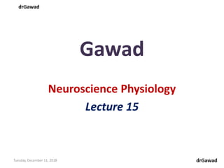 Lecture+15+ppt | PPT