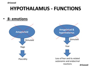 Lecture+15+ppt | PPT