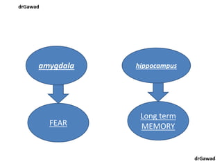 Lecture+15+ppt | PPT
