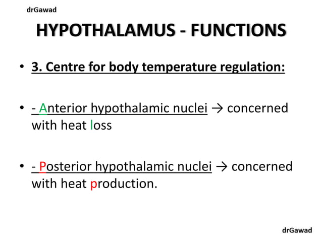 Lecture+15+ppt | PPT | Free Download