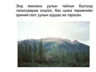 Энд жинхэнэ уулын тайгын бүслүүр
талхснаараа онцлог, бас шинэ төрмөлийн
эриний галт уулын хурдас их тархсан.
 