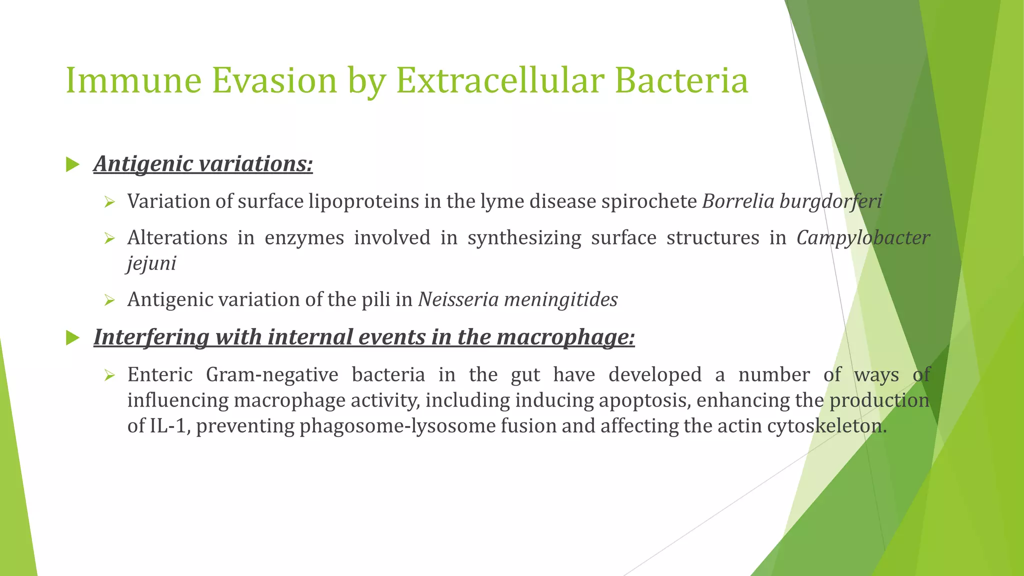 Immune Evasion by Extracellular Bacteria
 Antigenic variations:
 Variation of surface lipoproteins in the lyme disease spirochete Borrelia burgdorferi
 Alterations in enzymes involved in synthesizing surface structures in Campylobacter
jejuni
 Antigenic variation of the pili in Neisseria meningitides
 Interfering with internal events in the macrophage:
 Enteric Gram-negative bacteria in the gut have developed a number of ways of
influencing macrophage activity, including inducing apoptosis, enhancing the production
of IL-1, preventing phagosome-lysosome fusion and affecting the actin cytoskeleton.
 