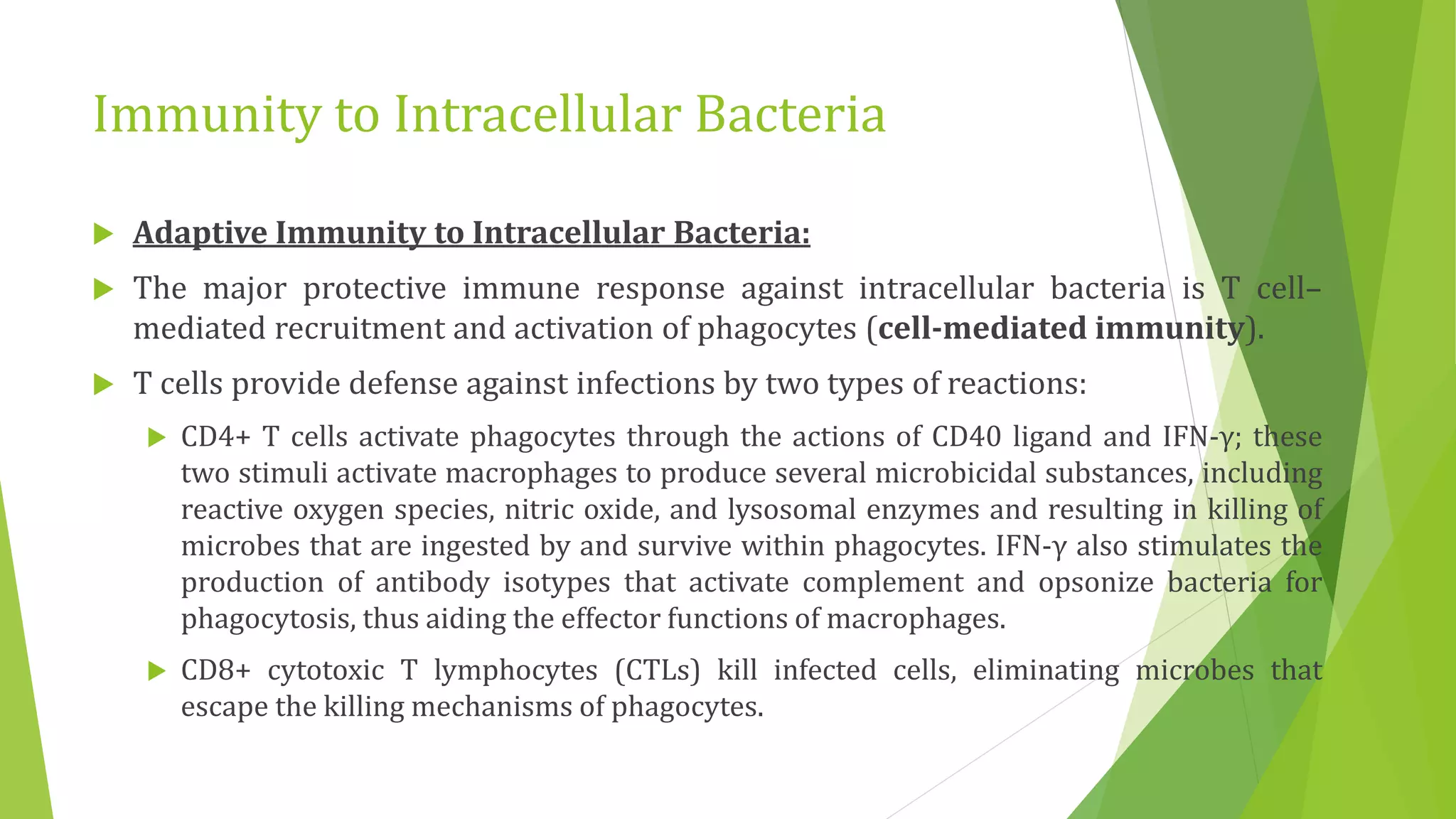 Immunity to Intracellular Bacteria
 Adaptive Immunity to Intracellular Bacteria:
 The major protective immune response against intracellular bacteria is T cell–
mediated recruitment and activation of phagocytes (cell-mediated immunity).
 T cells provide defense against infections by two types of reactions:
 CD4+ T cells activate phagocytes through the actions of CD40 ligand and IFN-γ; these
two stimuli activate macrophages to produce several microbicidal substances, including
reactive oxygen species, nitric oxide, and lysosomal enzymes and resulting in killing of
microbes that are ingested by and survive within phagocytes. IFN-γ also stimulates the
production of antibody isotypes that activate complement and opsonize bacteria for
phagocytosis, thus aiding the effector functions of macrophages.
 CD8+ cytotoxic T lymphocytes (CTLs) kill infected cells, eliminating microbes that
escape the killing mechanisms of phagocytes.
 