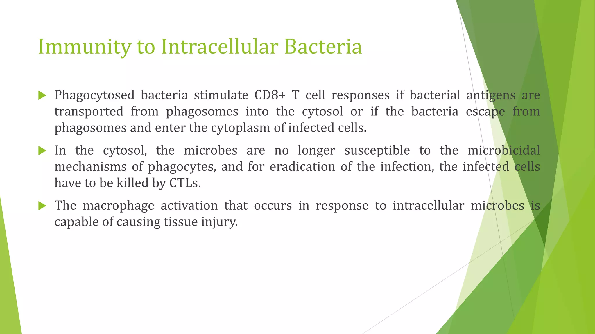 Immunity to Intracellular Bacteria
 Phagocytosed bacteria stimulate CD8+ T cell responses if bacterial antigens are
transported from phagosomes into the cytosol or if the bacteria escape from
phagosomes and enter the cytoplasm of infected cells.
 In the cytosol, the microbes are no longer susceptible to the microbicidal
mechanisms of phagocytes, and for eradication of the infection, the infected cells
have to be killed by CTLs.
 The macrophage activation that occurs in response to intracellular microbes is
capable of causing tissue injury.
 
