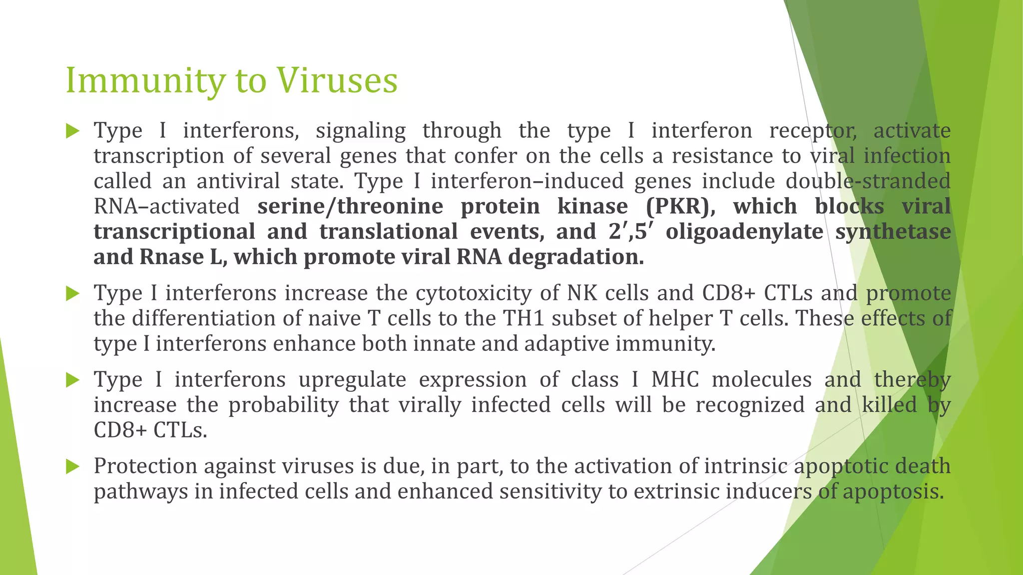 Immunity to Viruses
 Type I interferons, signaling through the type I interferon receptor, activate
transcription of several genes that confer on the cells a resistance to viral infection
called an antiviral state. Type I interferon–induced genes include double-stranded
RNA–activated serine/threonine protein kinase (PKR), which blocks viral
transcriptional and translational events, and 2′,5′ oligoadenylate synthetase
and Rnase L, which promote viral RNA degradation.
 Type I interferons increase the cytotoxicity of NK cells and CD8+ CTLs and promote
the differentiation of naive T cells to the TH1 subset of helper T cells. These effects of
type I interferons enhance both innate and adaptive immunity.
 Type I interferons upregulate expression of class I MHC molecules and thereby
increase the probability that virally infected cells will be recognized and killed by
CD8+ CTLs.
 Protection against viruses is due, in part, to the activation of intrinsic apoptotic death
pathways in infected cells and enhanced sensitivity to extrinsic inducers of apoptosis.
 