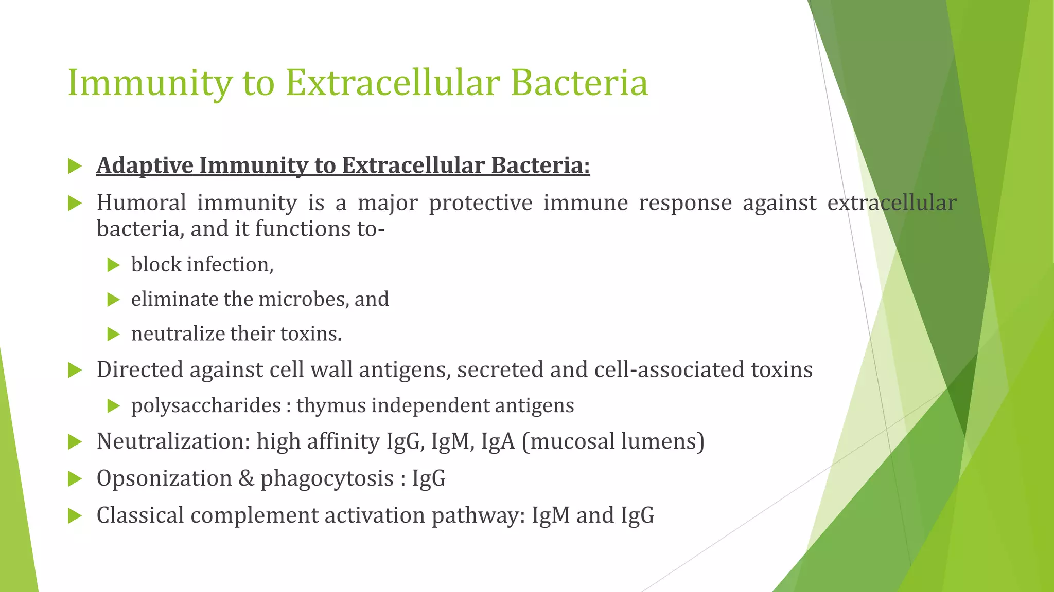 Immunity to Extracellular Bacteria
 Adaptive Immunity to Extracellular Bacteria:
 Humoral immunity is a major protective immune response against extracellular
bacteria, and it functions to-
 block infection,
 eliminate the microbes, and
 neutralize their toxins.
 Directed against cell wall antigens, secreted and cell-associated toxins
 polysaccharides : thymus independent antigens
 Neutralization: high affinity IgG, IgM, IgA (mucosal lumens)
 Opsonization & phagocytosis : IgG
 Classical complement activation pathway: IgM and IgG
 