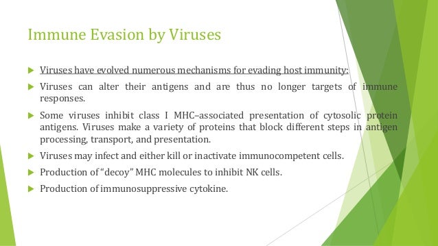 Key Molecule May Tie Immune Response To >> Immunity To Microbes Key Molecule May Tie Immune Response To >> Immunity To Microbes