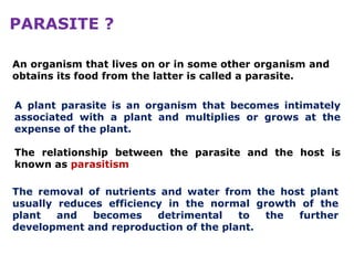 Lecture 16.pptx pathology fundamental plant pathology | PPTX