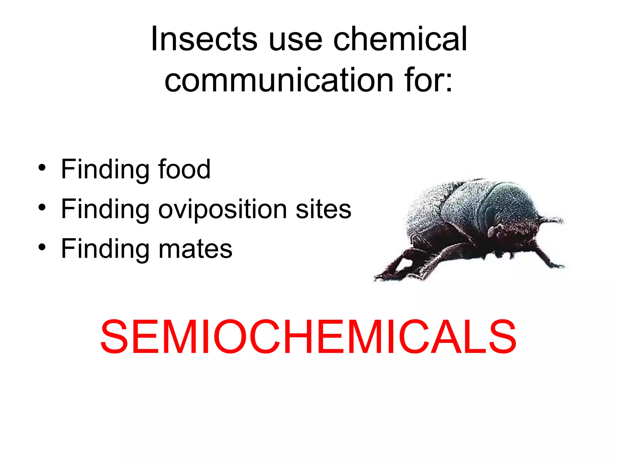 Insects use chemical
communication for:
• Finding food
• Finding oviposition sites
• Finding mates
SEMIOCHEMICALS
 